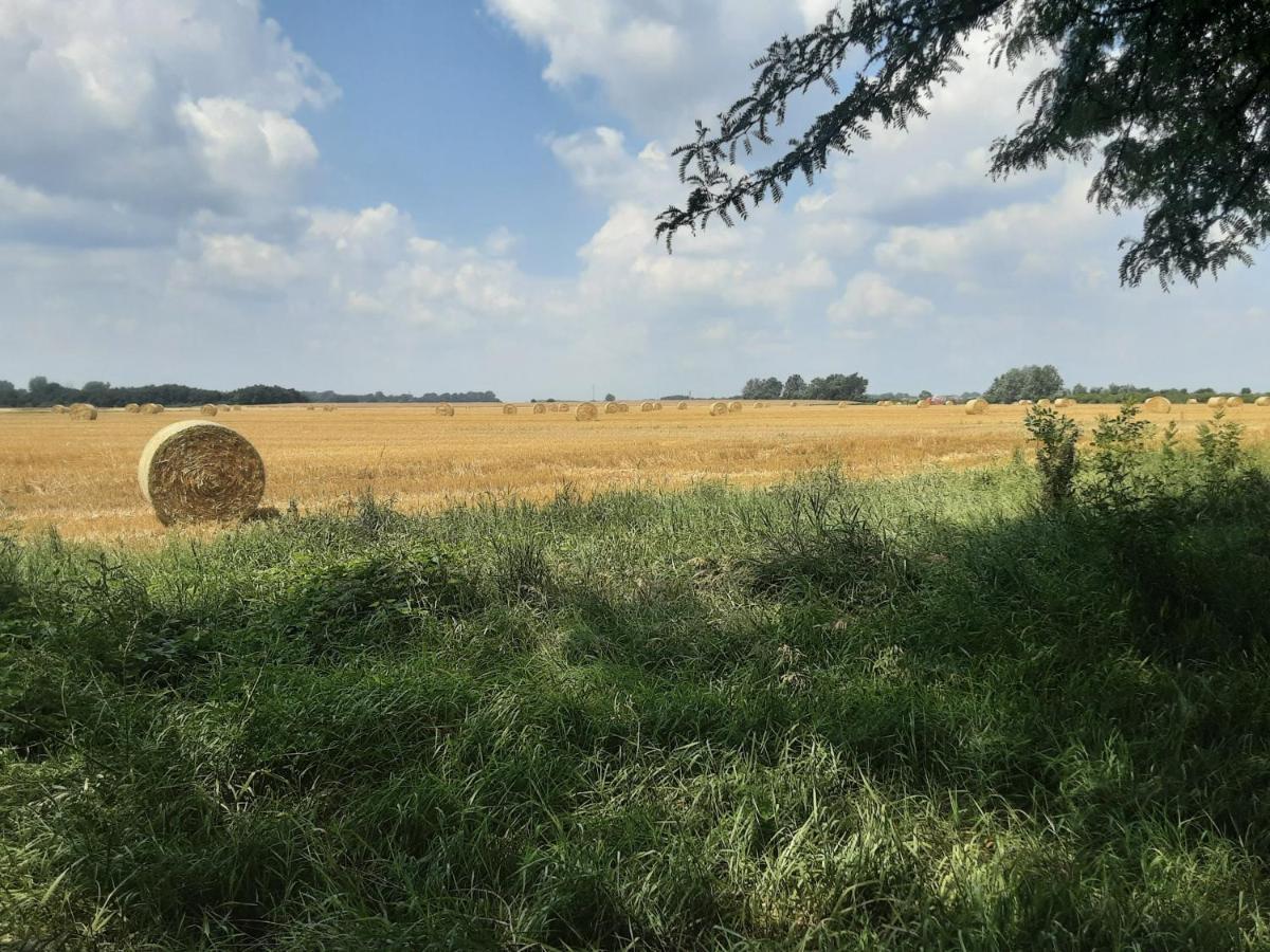 Herberg Tisza Tiszabábolna Exteriör bild